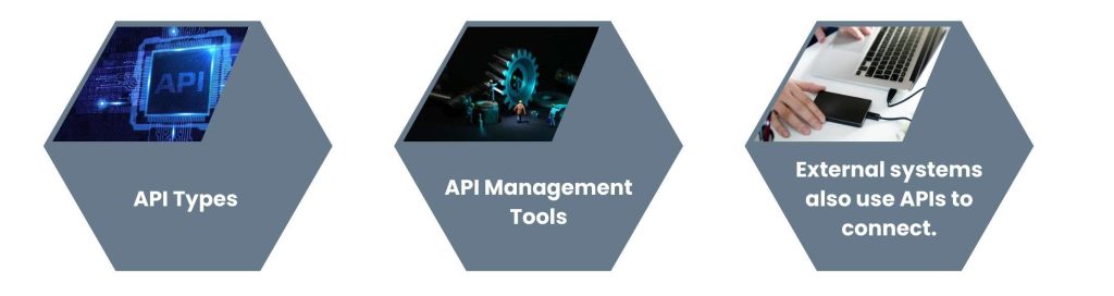 API Layer_ Connecting the Frontend and Backend